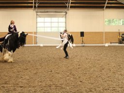 IMG_5430_web